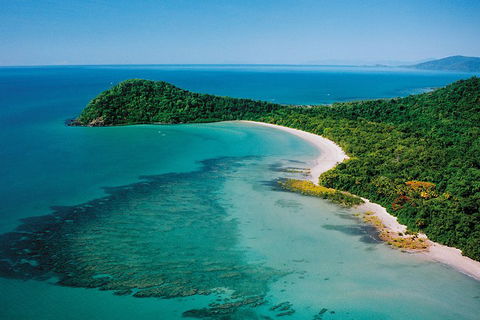 Daintree Rainforest, Cape Tribulation, Mossman Gorge Small-Group Day Tour - Accommodation Broome 4