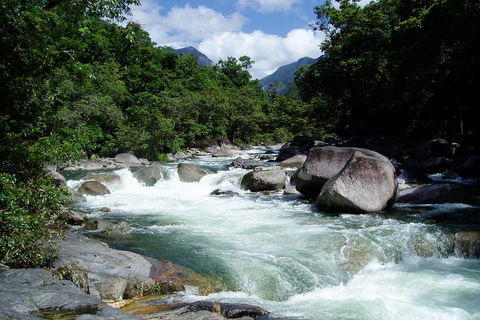 Daintree Rainforest, Cape Tribulation, Mossman Gorge Small-Group Day Tour - Accommodation Broome 5