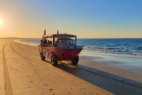 Town Of 1770 Afternoon Cruise - Accommodation Broome 1