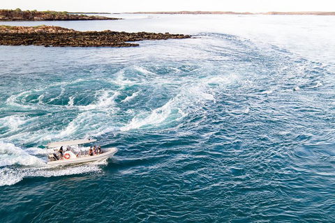 Giant Tides Tour - Cygnet Bay Pearl Farm - Accommodation Broome 4