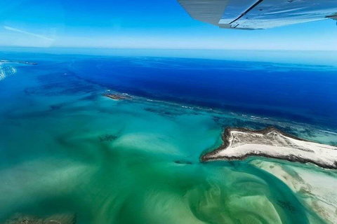 Wet Season Incredible Islands Tour - Horizontal Falls & Cygnet Bay Pearl Farm - Accommodation Broome 4