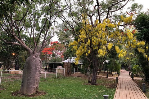 Wet Season Mitchell Falls Tour - Mitchell Falls, Horizontal Falls & Cygnet Bay - Accommodation Broome 1