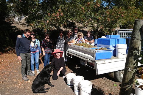 Valleys Of Vino Tour - Accommodation Broome 1