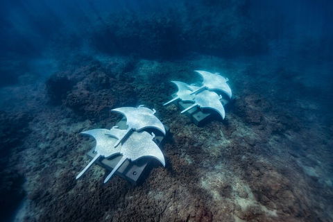Premium Private Charter - Accommodation Broome 3