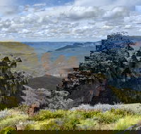 Blue Mountains Private Tour - wild kangaroos waterfalls and The Three Sisters - Accommodation Broome