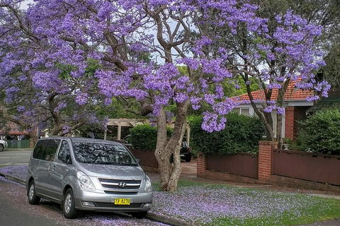 Sydney Secrets & Bondi Beach Private 4 Hr Morning With Personalised Sydney Tours - Accommodation Broome 0