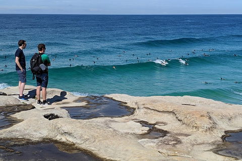 Sydney Secrets & Bondi Beach Private 4 Hr Morning With Personalised Sydney Tours - Accommodation Broome 2