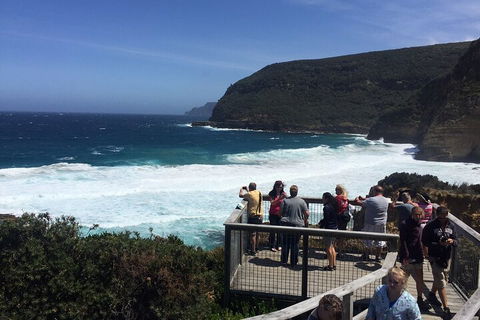 The Port Arthur MEGA Day Trip From Hobart - Accommodation Broome 2