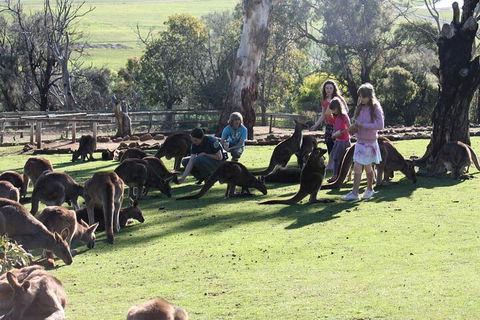The Port Arthur MEGA Day Trip From Hobart - Accommodation Broome 5