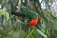 3-Day Private Adelaide to Melbourne tour
