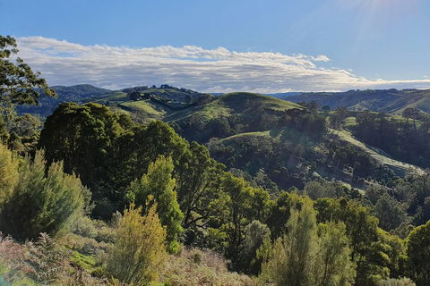 3-Day Adelaide To Melbourne Tour Including The Great Ocean Road - Accommodation Broome 5
