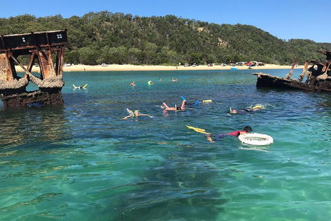All Inclusive Dolphin And Tangalooma Wrecks Cruise - Accommodation Broome 0