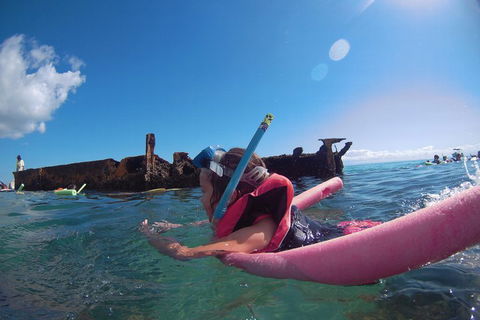All Inclusive Dolphin And Tangalooma Wrecks Cruise - Accommodation Broome 2