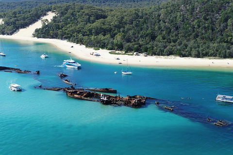 All Inclusive Dolphin And Tangalooma Wrecks Cruise - Accommodation Broome 4