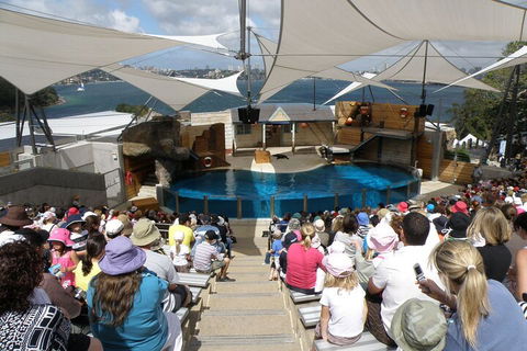 Sydney Taronga Zoo General Entry Ticket - Accommodation Broome 5