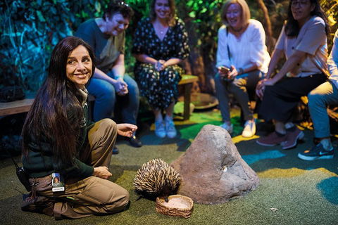 Sydney Taronga Zoo's Australian Animals Tour - Accommodation Broome 0