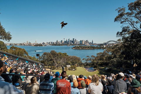 Sydney Taronga Zoo's Australian Animals Tour - Accommodation Broome 5
