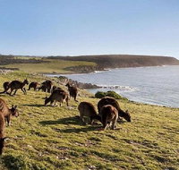 Kangaroo Island Personal Group Tours - Accommodation Broome