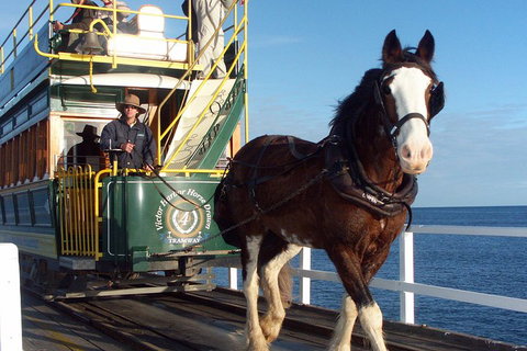 Full-Day Tour In South Australia Highlights - Accommodation Broome 1