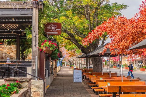 Full-Day Tour In South Australia Highlights - Accommodation Broome 2