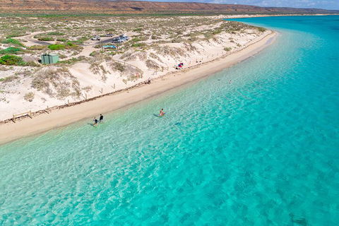 Ningaloo In A Day - Full Day Hike And Snorkel Tour With Lunch - Accommodation Broome 0