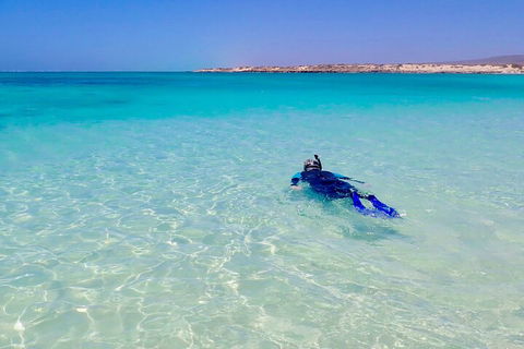 Ningaloo In A Day - Full Day Hike And Snorkel Tour With Lunch - Accommodation Broome 4