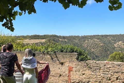 Private Mclaren Vale Wine Tour - Accommodation Broome 2