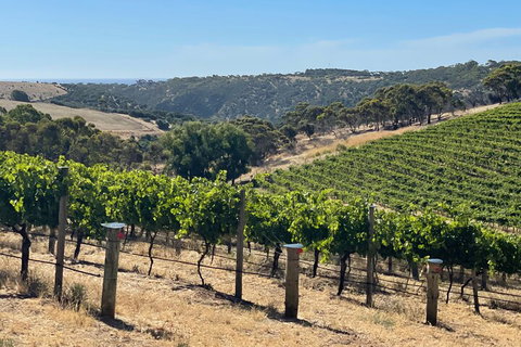 Private Mclaren Vale Wine Tour - Accommodation Broome 3