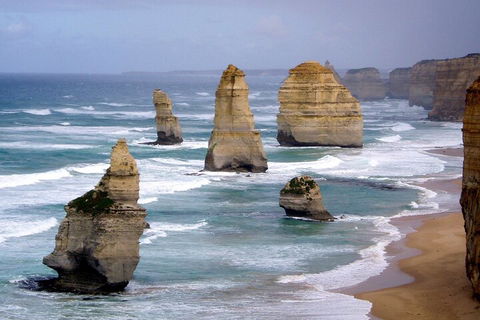 LGBT+ Friendly 2 Day Private Tour Great Ocean Road + Phillip Island - Accommodation Broome 0