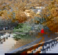 LGBT Friendly 3 Day Private Tour Great Ocean Road  Phillip Island