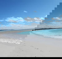 Shipwreck Special Nature Tour/Half Day Tour - Accommodation Broome