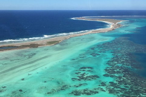 Pink Lake + Abrolhos Islands Nature Tour - Accommodation Broome 2