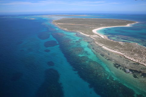 Pink Lake + Abrolhos Islands Scenic Flight - Accommodation Broome 0