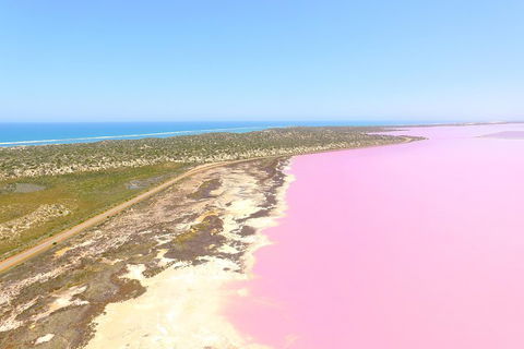 Pink Lake + Abrolhos Islands Scenic Flight - Accommodation Broome 4