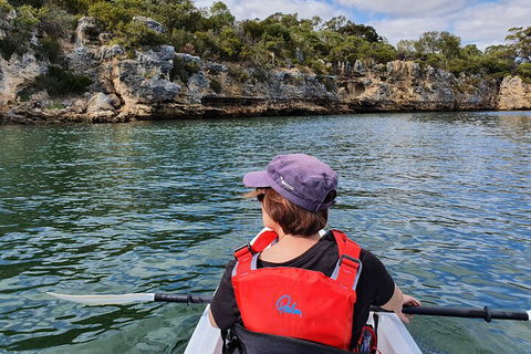 Cliffs And Caves Kayak Tour In Swan River - Accommodation Broome 0