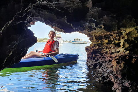 Cliffs And Caves Kayak Tour In Swan River - Accommodation Broome 1