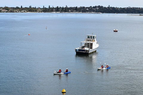 Cliffs And Caves Kayak Tour In Swan River - Accommodation Broome 2