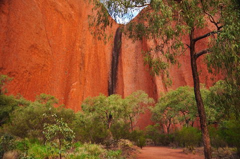 Uluru Sunrise And Guided Base Walk - Accommodation Broome 3