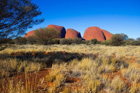 Kata Tjuta Sunrise And Valley Of The Winds Half-Day Trip - Accommodation Broome 1