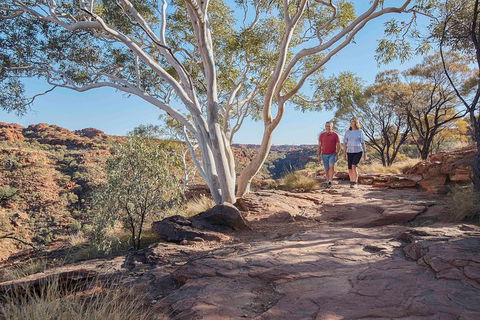 3-Day Tour From Uluru (Ayers Rock) To Alice Springs Via Kings Canyon - Accommodation Broome 1