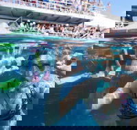Great Barrier Reef Day Cruise from Cairns Including Snorkeling and Marine Biologist Presentation - Accommodation Broome