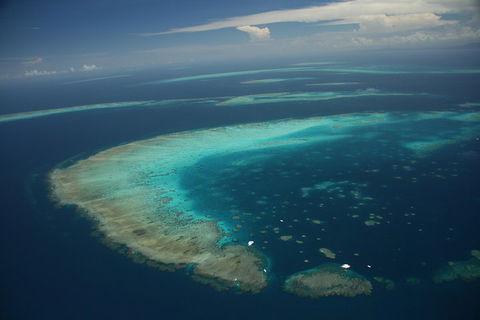 Great Barrier Reef Day Cruise From Cairns Including Snorkeling And Marine Biologist Presentation - Accommodation Broome 1