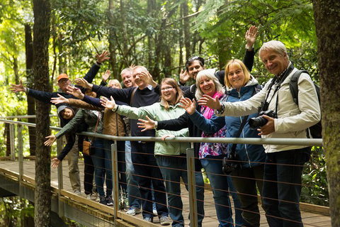 All Inclusive Blue Mountains Small-Group Day Trip From Sydney - Accommodation Broome 5