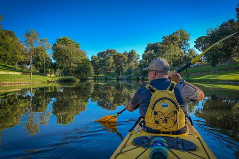 Adelaide City Kayak Tour - Accommodation Broome 5