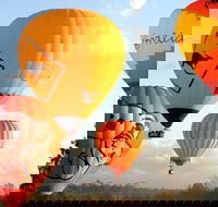 Natural Bridge  Springbrook Waterfalls Tour  Hot Air Balloon with Breakfast - Accommodation Broome