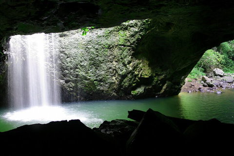Natural Bridge & Springbrook Waterfalls Tour + Hot Air Balloon With Breakfast - Accommodation Broome 2