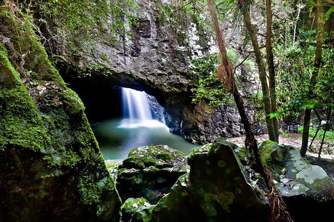 Natural Bridge & Springbrook Waterfalls Tour + Hot Air Balloon With Breakfast - Accommodation Broome 4