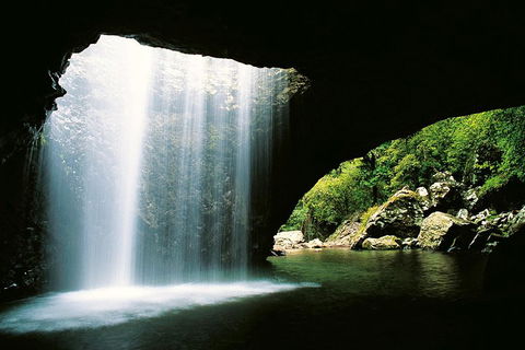 Natural Bridge & Springbrook Waterfalls Tour - Accommodation Broome 0