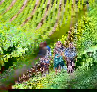 Tasmanian Wine Tour - Accommodation Broome