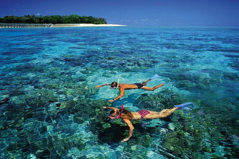 Green Island Day Trip From Cairns - Accommodation Broome 5
